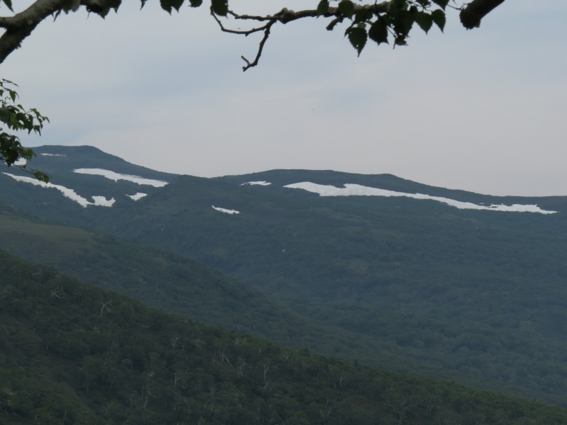 c0183777_9514015.jpg