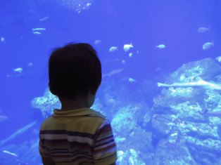 d0217979_187051.jpg