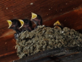 f0007580_23163183.jpg