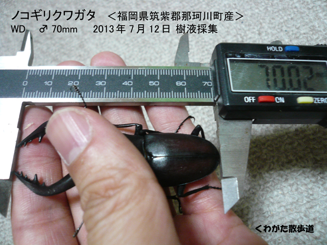 f0183484_5395052.jpg