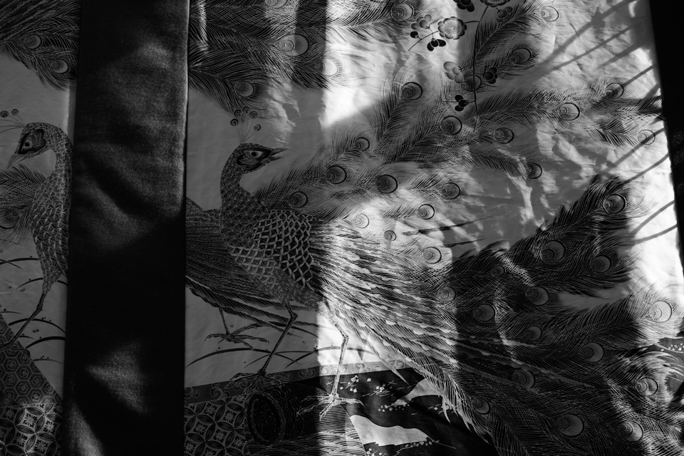 c0059485_16182425.jpg