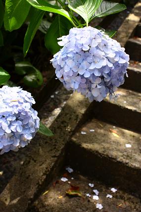 c0204385_1322329.jpg