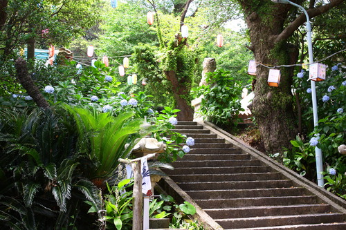 c0204385_1372576.jpg