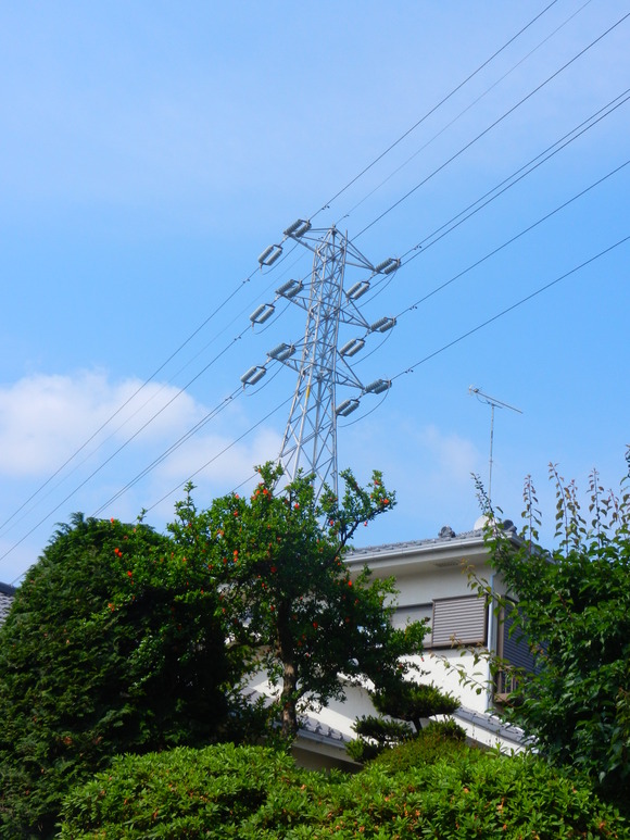 d0224990_20442225.jpg