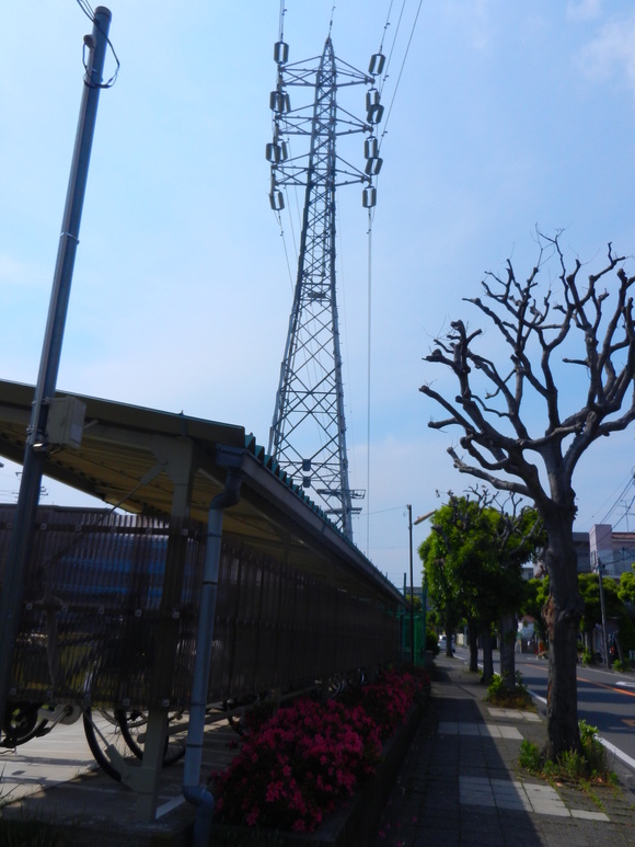 d0224990_2049367.jpg