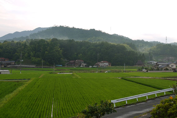 f0222692_2021089.jpg