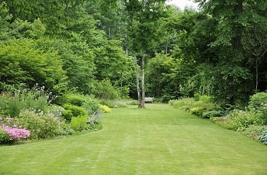 e0209997_1744240.jpg