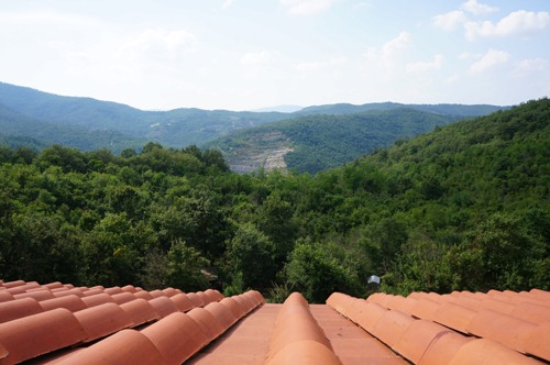 f0106597_481385.jpg