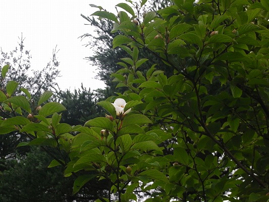 f0187402_21122924.jpg