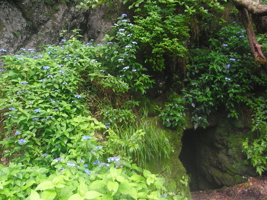 f0187402_2113110.jpg