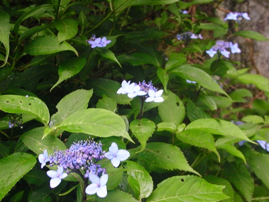 f0187402_211319100.jpg