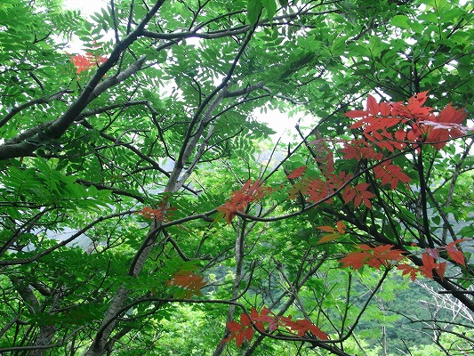 f0187402_21132937.jpg