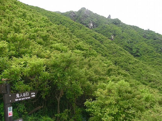 f0187402_21133745.jpg