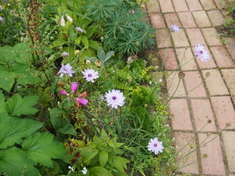 c0117007_21165640.jpg