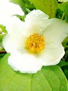 e0098908_18514072.jpg