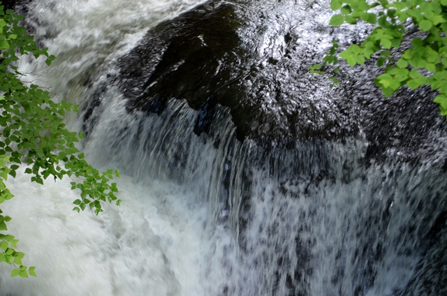 c0223117_21314321.jpg