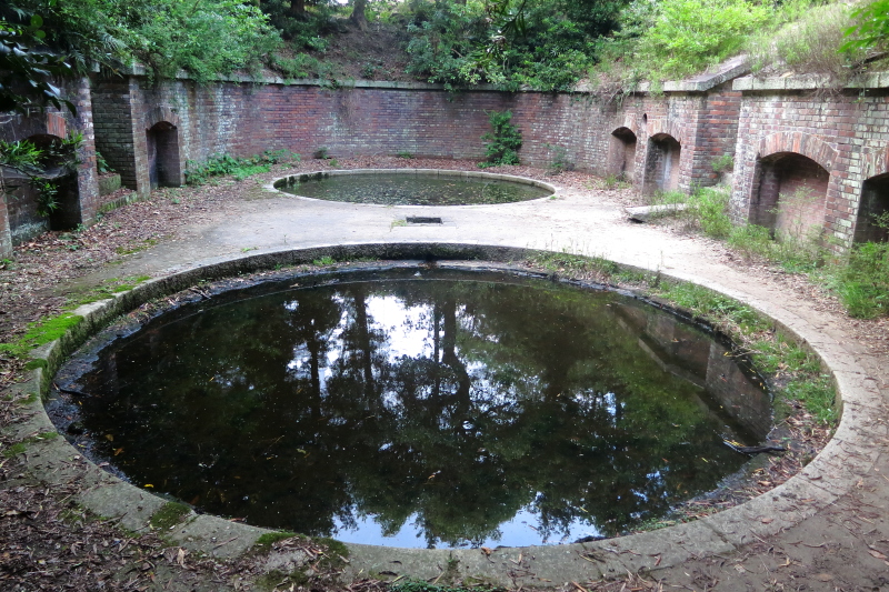 f0031423_20593163.jpg