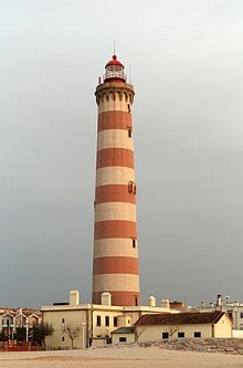 d0000025_16142675.jpg