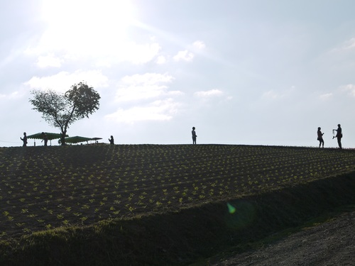 d0161525_10314544.jpg