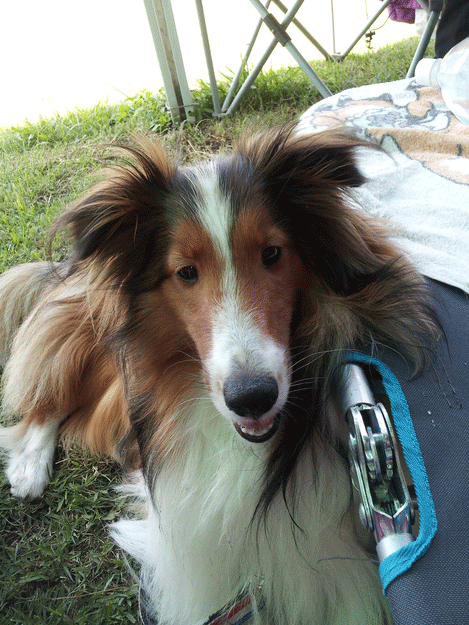 b0066826_1933019.gif