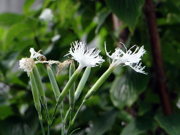 d0037233_1033548.jpg