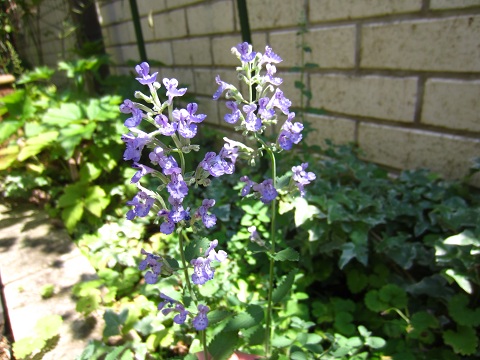 f0002833_19115742.jpg