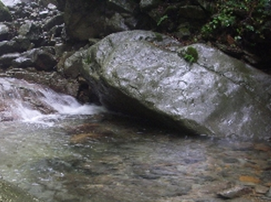 a0156834_22331983.jpg