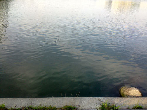 d0013834_13191289.jpg