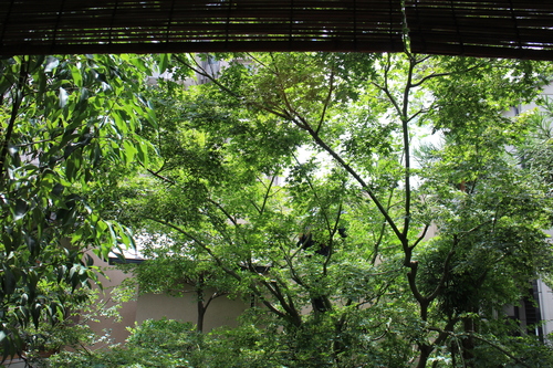 d0033734_19432711.jpg