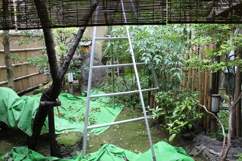 d0033734_19581827.jpg
