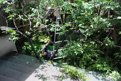d0033734_2022126.jpg
