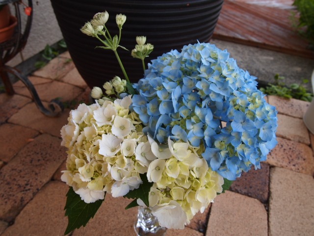c0117239_10162447.jpg