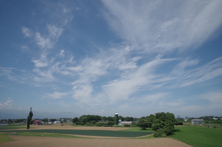 d0165741_15435226.jpg