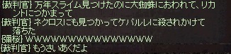 f0091444_3464167.jpg