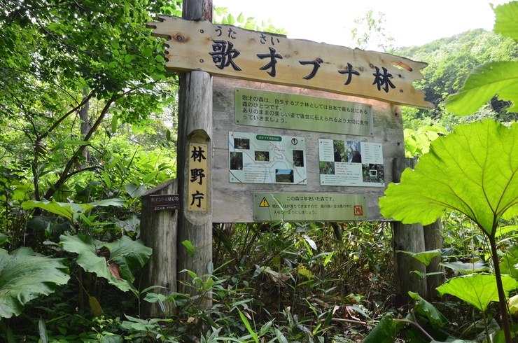 e0305745_2239392.jpg