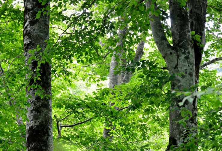 e0305745_22401151.jpg