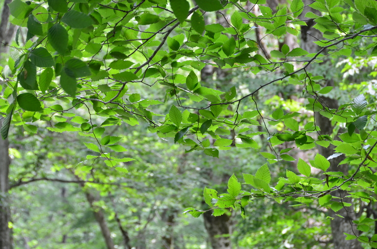 e0305745_2254972.jpg