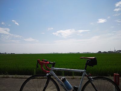 a0096557_2054287.jpg