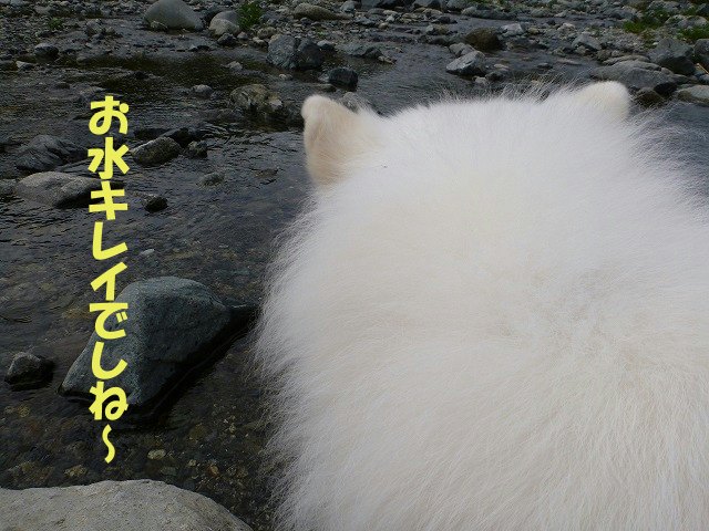 e0176159_933420.jpg