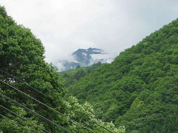 a0052762_6372531.jpg