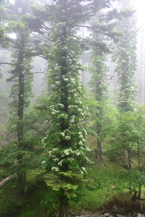 c0303868_5413925.jpg