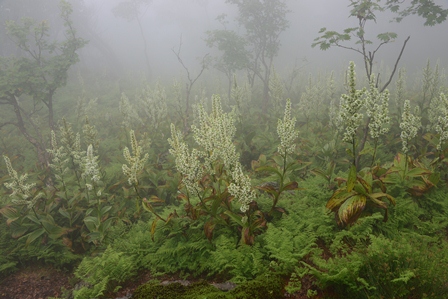 c0303868_753127.jpg