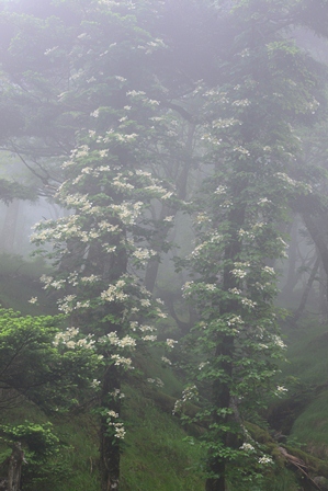 c0303868_78222.jpg