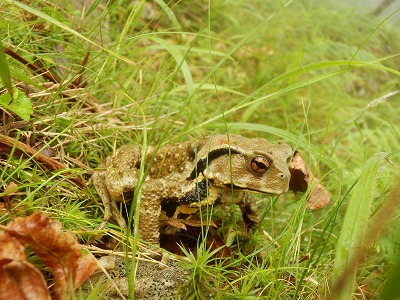 f0057070_8271340.jpg
