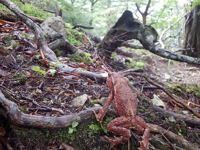 f0057070_8273220.jpg