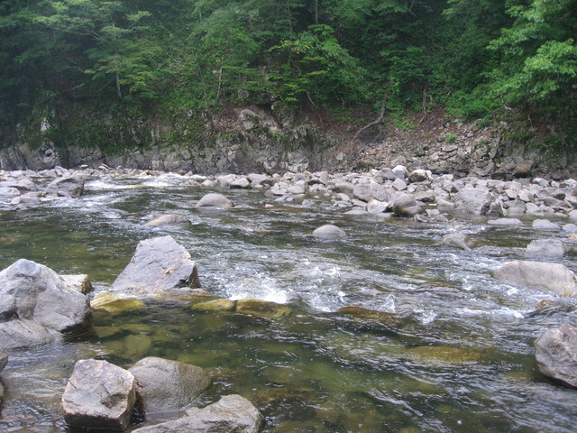 a0093677_18203231.jpg