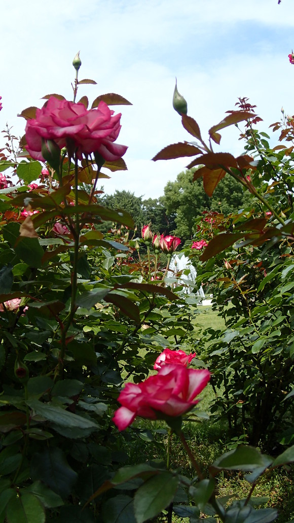 e0024081_191151.jpg