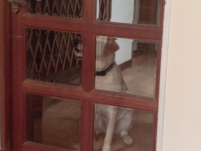f0005081_1726251.jpg