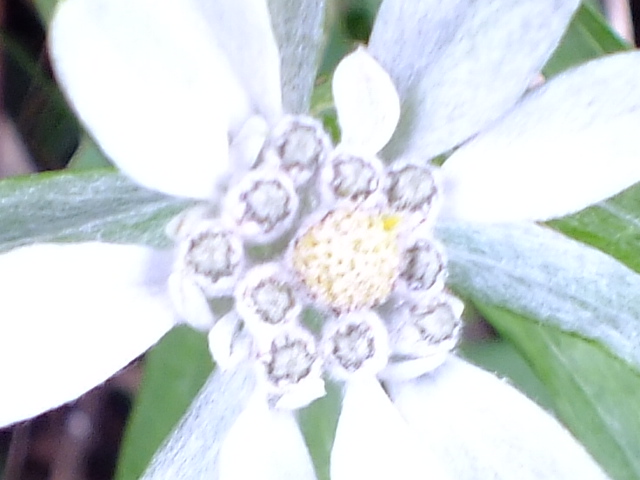 e0145782_18553739.jpg
