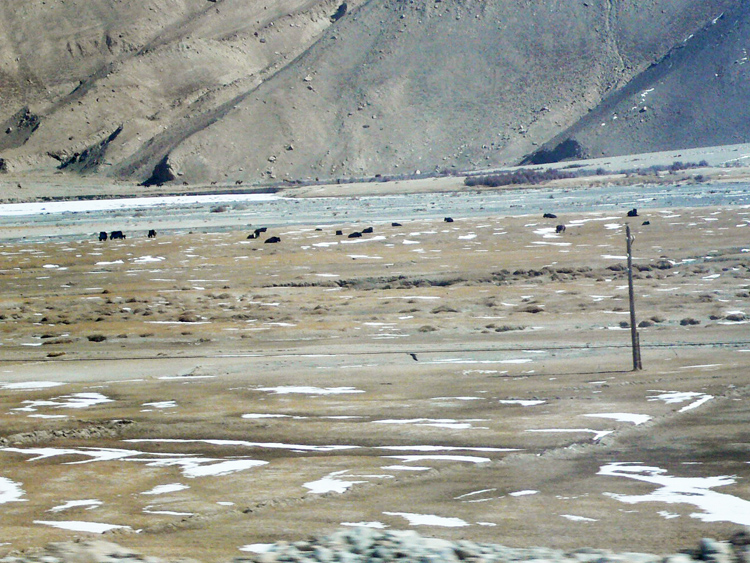 a0222184_10411039.jpg